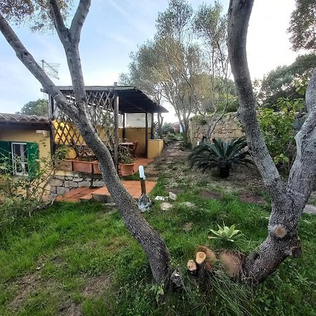 Villa Graziella Ла-Маддалена Экстерьер фото